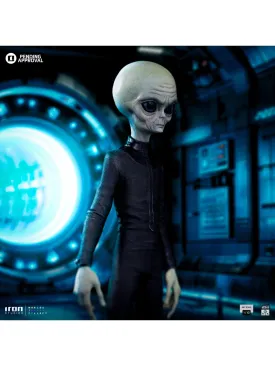 Alien Grey I want to Believe Art Scale 1/10