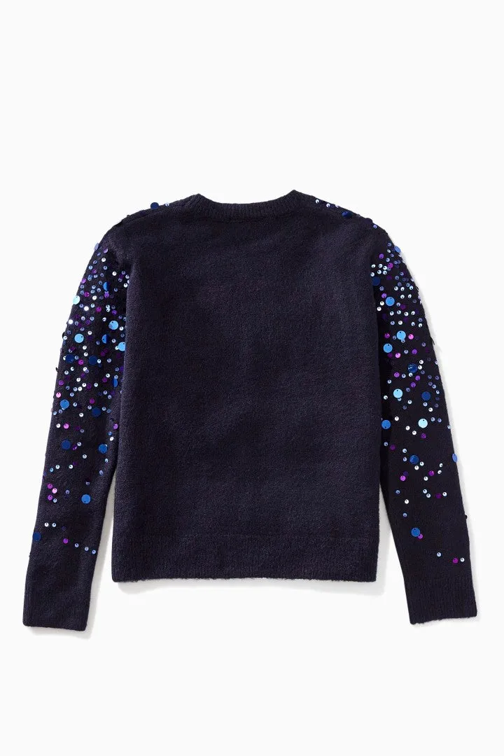 Paillette Sprinkle Sweater