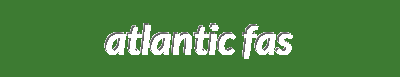 Portuguese Coastal Essentials | Affordable Atlantic Quality | Premium European Maritime